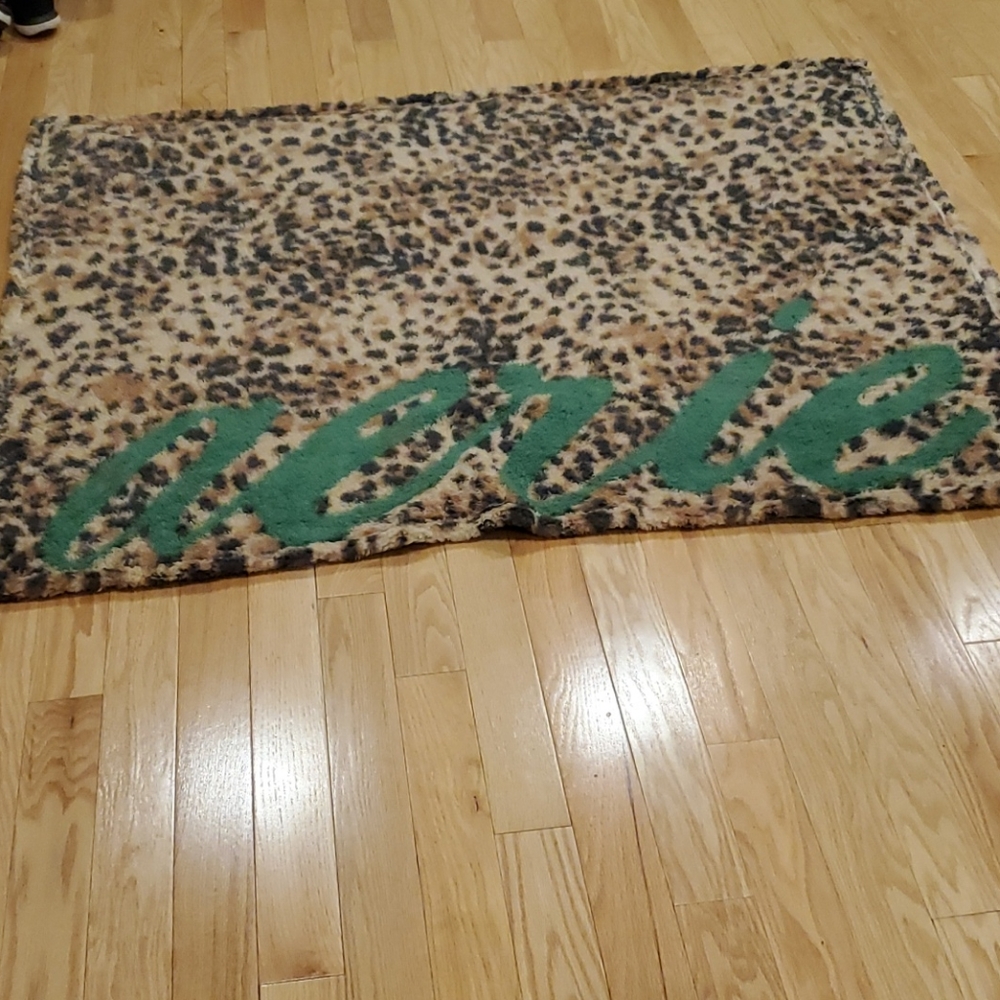 Aerie leopard print blanket